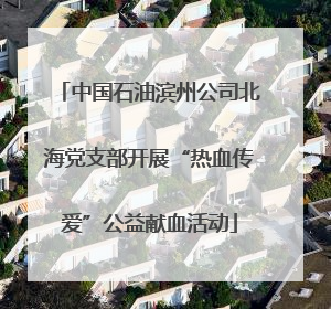 中国石油滨州公司北海党支部开展“热血传爱”公益献血活动