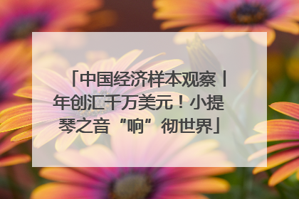 中国经济样本观察丨年创汇千万美元！小提琴之音“响”彻世界