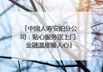 中国人寿安阳分公司：贴心服务送上门 金融温度暖人心