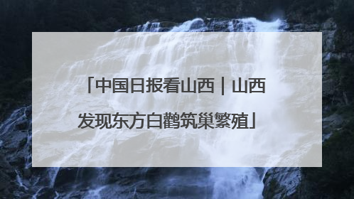 中国日报看山西｜山西发现东方白鹳筑巢繁殖