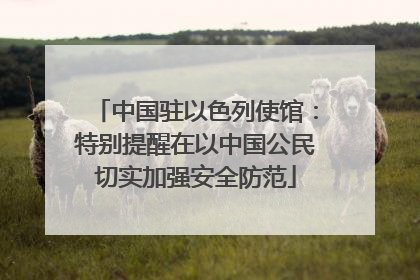 中国驻以色列使馆：特别提醒在以中国公民切实加强安全防范