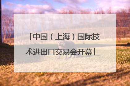 中国（上海）国际技术进出口交易会开幕