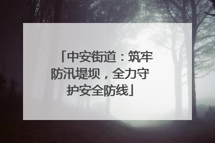 中安街道：筑牢防汛堤坝，全力守护安全防线