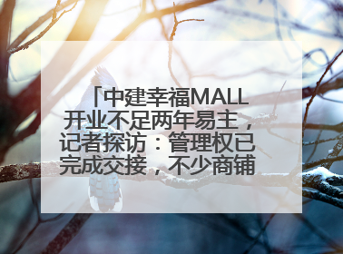 中建幸福MALL开业不足两年易主，记者探访：管理权已完成交接，不少商铺空置待招商