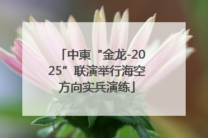 中柬“金龙-2025”联演举行海空方向实兵演练