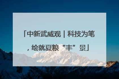 中新武威观｜科技为笔，绘就夏粮“丰”景