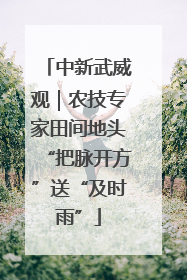 中新武威观｜农技专家田间地头“把脉开方”送“及时雨”