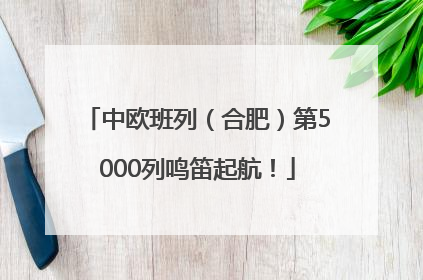 中欧班列（合肥）第5000列鸣笛起航！