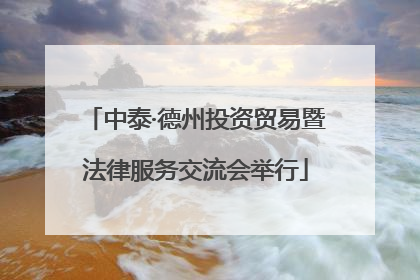 中泰·德州投资贸易暨法律服务交流会举行