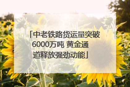 中老铁路货运量突破6000万吨 黄金通道释放强劲动能