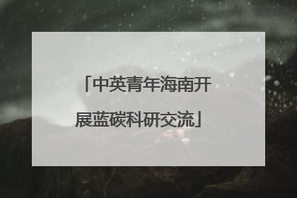 中英青年海南开展蓝碳科研交流