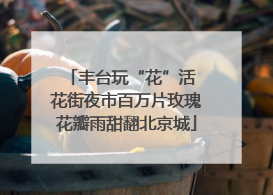 丰台玩“花”活 花街夜市百万片玫瑰花瓣雨甜翻北京城