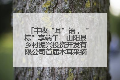 丰收“耳”语，“粽”享端午—山阳县乡村振兴投资开发有限公司首届木耳采摘活动盛大启幕