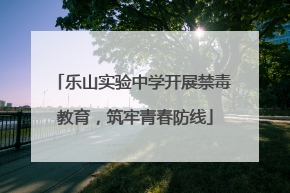 乐山实验中学开展禁毒教育，筑牢青春防线
