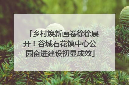 乡村焕新画卷徐徐展开！谷城石花镇中心公园奋进建设初显成效