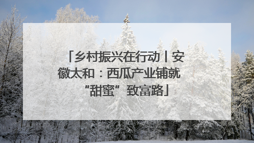 乡村振兴在行动丨安徽太和：西瓜产业铺就“甜蜜”致富路