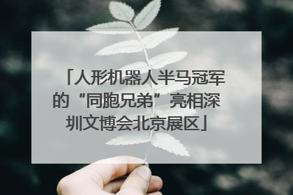 人形机器人半马冠军的“同胞兄弟”亮相深圳文博会北京展区