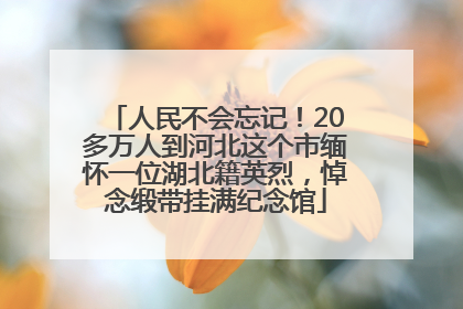 人民不会忘记！20多万人到河北这个市缅怀一位湖北籍英烈，悼念缎带挂满纪念馆
