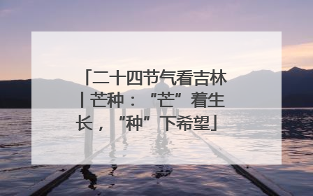 二十四节气看吉林丨芒种：“芒”着生长，“种”下希望