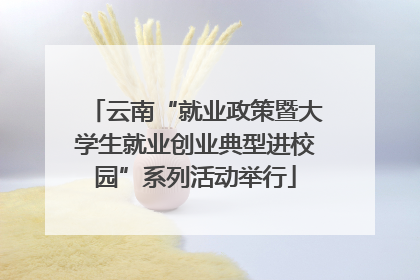 云南“就业政策暨大学生就业创业典型进校园”系列活动举行