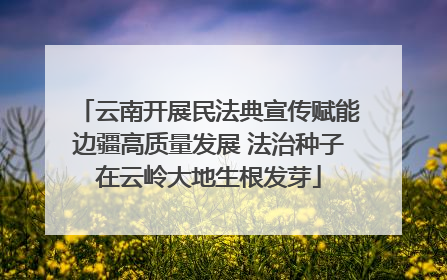 云南开展民法典宣传赋能边疆高质量发展 法治种子在云岭大地生根发芽
