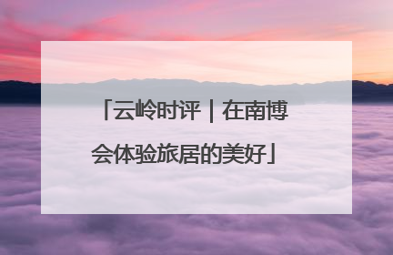 云岭时评｜在南博会体验旅居的美好