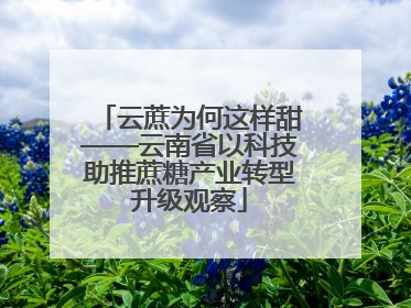 云蔗为何这样甜——云南省以科技助推蔗糖产业转型升级观察