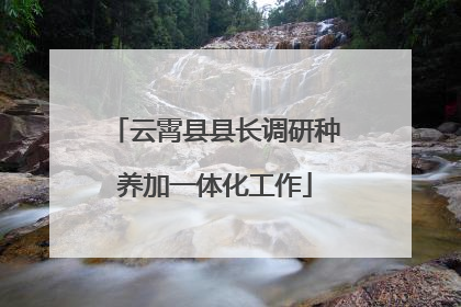 云霄县县长调研种养加一体化工作