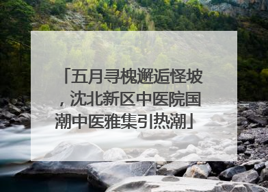 五月寻槐邂逅怪坡，沈北新区中医院国潮中医雅集引热潮