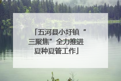 五河县小圩镇“三聚焦”全力推进夏种夏管工作