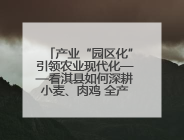 产业“园区化”引领农业现代化——看淇县如何深耕小麦、肉鸡 全产业链打造现代农业产业园