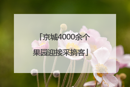京城4000余个果园迎接采摘客