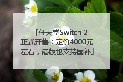任天堂Switch 2正式开售：定价4000元左右，港版也支持国补
