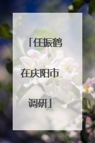 任振鹤在庆阳市调研