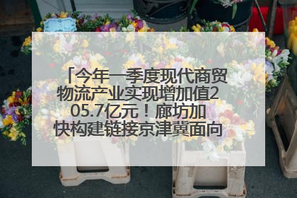 今年一季度现代商贸物流产业实现增加值205.7亿元！廊坊加快构建链接京津冀面向全世界的物流通道