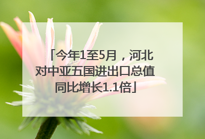 今年1至5月，河北对中亚五国进出口总值同比增长1.1倍