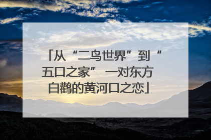 从“二鸟世界”到“五口之家” 一对东方白鹳的黄河口之恋