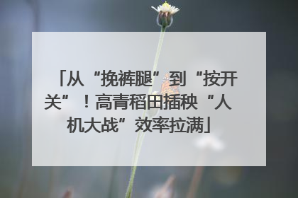 从“挽裤腿”到“按开关”！高青稻田插秧“人机大战”效率拉满