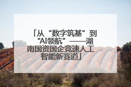 从“数字筑基”到“AI领航”——湖南国资国企竞速人工智能新赛道