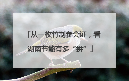 从一枚竹制参会证，看湖南节能有多“拼”