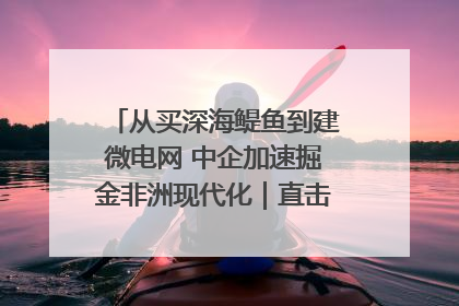从买深海鳀鱼到建微电网 中企加速掘金非洲现代化｜直击中非经贸博览会
