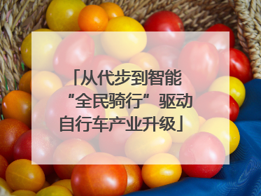 从代步到智能 “全民骑行”驱动自行车产业升级