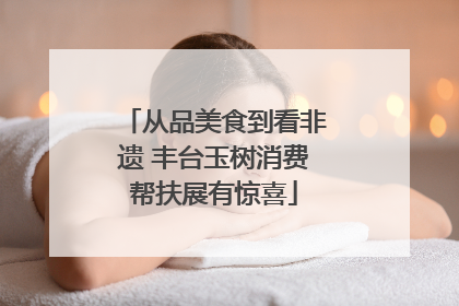 从品美食到看非遗 丰台玉树消费帮扶展有惊喜