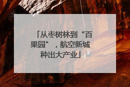 从枣树林到“百果园”，航空新城种出大产业