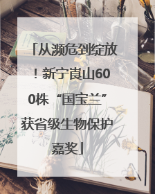 从濒危到绽放！新宁崀山600株“国宝兰”获省级生物保护嘉奖