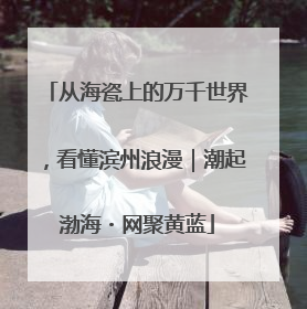 从海瓷上的万千世界，看懂滨州浪漫｜潮起渤海・网聚黄蓝