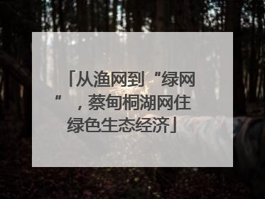 从渔网到“绿网”，蔡甸桐湖网住绿色生态经济