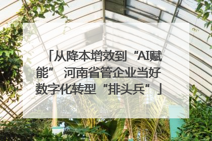 从降本增效到“AI赋能” 河南省管企业当好数字化转型“排头兵”