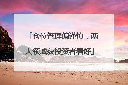 仓位管理偏谨慎，两大领域获投资者看好