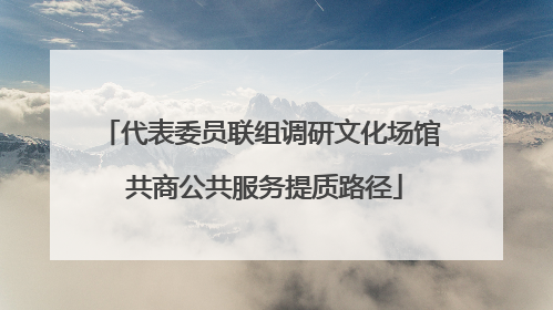 代表委员联组调研文化场馆 共商公共服务提质路径